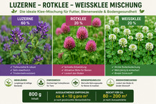 800 klee mix luzerne - mix, mit