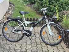 Pegasus Avanti 20 Zoll