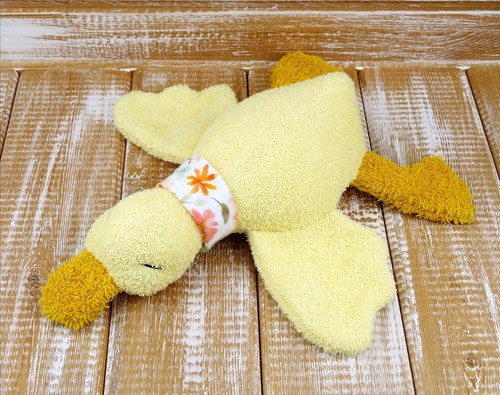 Ente gans erstes - gans,