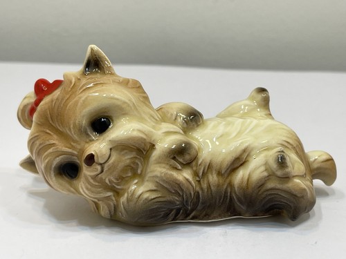 Porzellan figur hund yorkshire - hund,