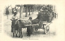 ägypten ismailia huhn - ismailia,