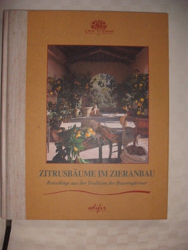 Oscar tintori zitrusbäume - oscar,