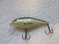 Salmo Excutor 5 top