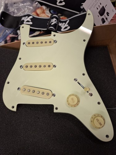 Pickup loaded strat - strat, plate