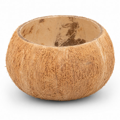 Kokosnuss schale natur - schale,
