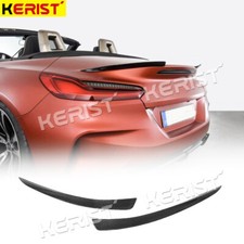 Carbon Fiber Hinten Stamm