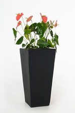 Blumenkübel Pflanzkübel