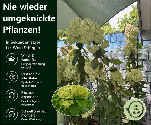 Pflanzenbalance der - |,