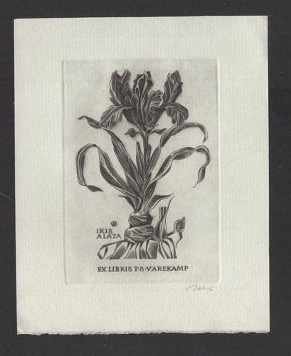330 exlibris ex - s2)nr.330,exlibris,,