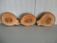 3 Holzscheiben aus Birke ., Dekoration, Wohnungsdeko Nr 207