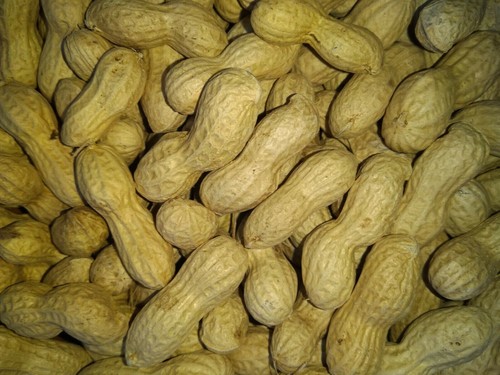 Erdnüsse mit - (3,20€/kg),