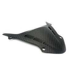 Carbon obere Frontverkleidung