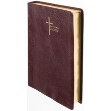 Luther21 Bibel - F.C. Thompson