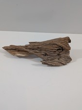 Mangrovenwurzel #14 (LBH ca