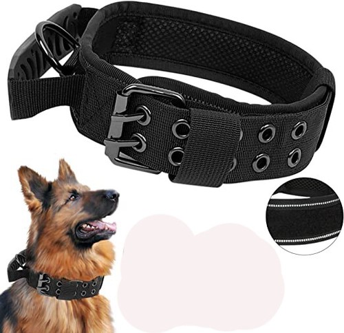 Taktisches hundehalsband mit - taktisches,