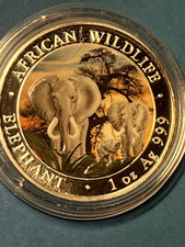 Somalia Elefant 2014, color