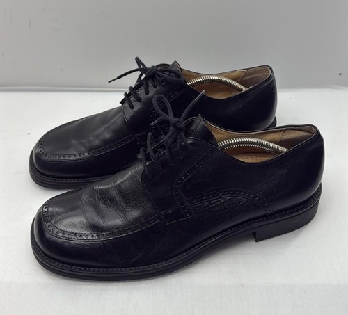 Gallus 2 herren - gallus,