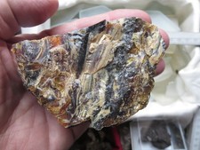 Bernstein  129 g Sumatra