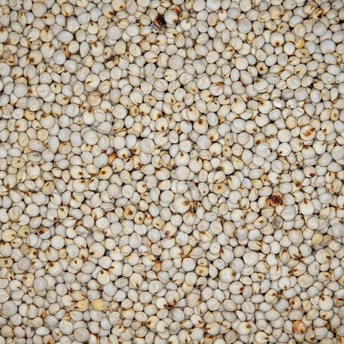 Dari weiß versele 25kg - versele,