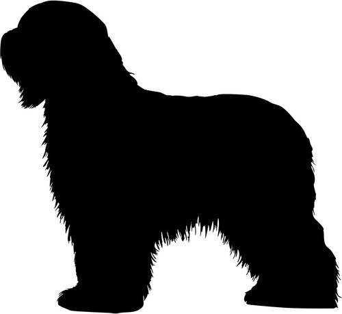 Briard aufkleber - briard,