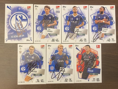 Schalke s04 match attax - 7, 04
