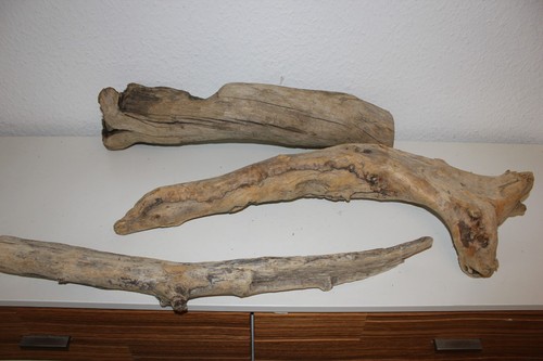 Treibholz holzwurzel - x,