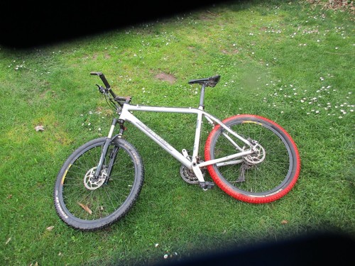 Mountainbike carver - carver, 26"