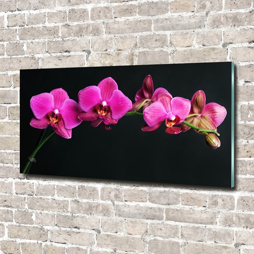 Glas bild wandbilder druck auf - glas-bild,