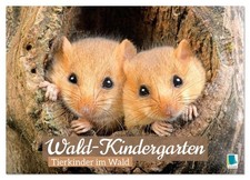Wald-Kindergarten: Tierkinder im Wald (Wandkalender 2026 DIN A4 quer), CALVENDO 