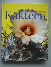 Kakteen 1993 Heimat Platz