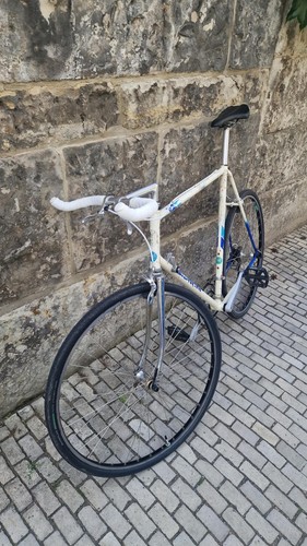 Bianchi rennrad shimano - bianchi,
