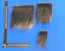 Echtes wildschweinfell - echtes,