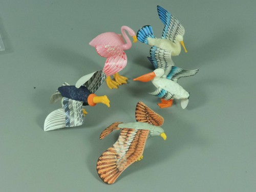 Stecktiere bunte vogelwelt - bunte, d