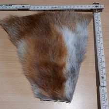 Echt Fell Rest Rotfuchs  ca