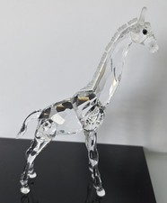 Swarovski 236717 Baby Giraffe TOP ZUSTAND in BOX (K1)