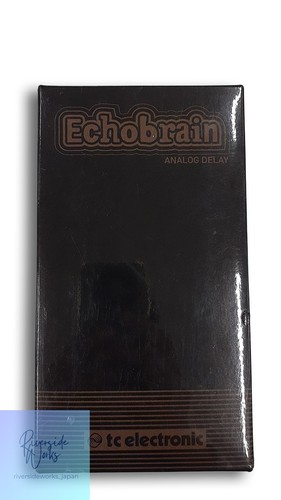 Electronic echobrain delay - electronic,