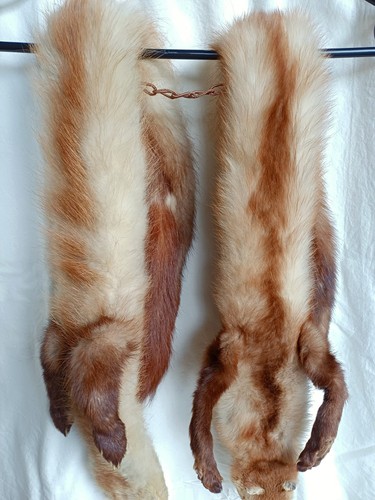 Vintage fuchs echtpelz - vintage, ?