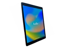 Apple iPad Pro 12.9 Zoll 256GB