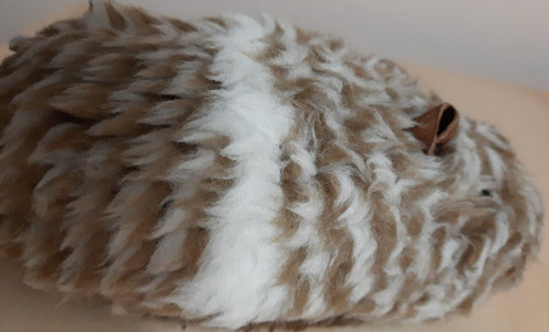 Meerschweinchen mehrfarbig - meerschweinchen,,