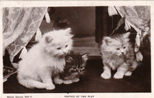 AK   -3 Katzen am Fenster -  Rapco Serie 204 D