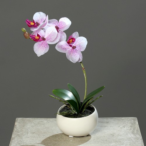 Kunstblume orchidee - kunstblume,