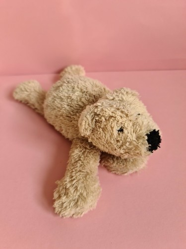 Teddy