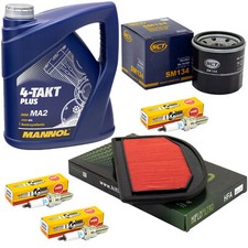 Wartung Öl 4L Set für