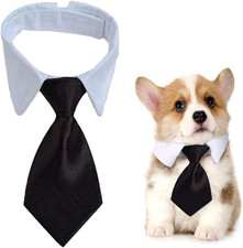 Hunde-Krawatte,verstellbares