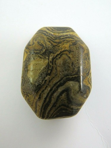 Flacher stromatolith - flacher,