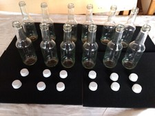 12 leere flaschen  0,25 liter  mit DECKEL