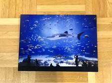 Lumas galerie hiepler - galerie,
