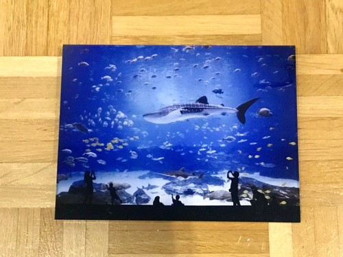 Lumas galerie hiepler - galerie, &