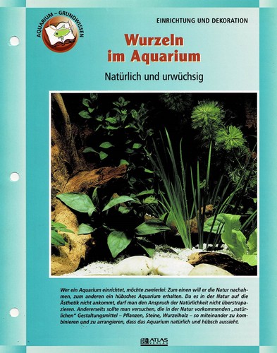 Wurzeln aquarium - aquarium, /