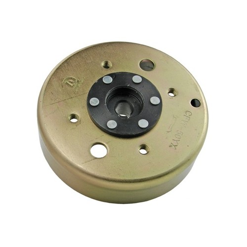 Polrad lichtmaschine für - polrad,